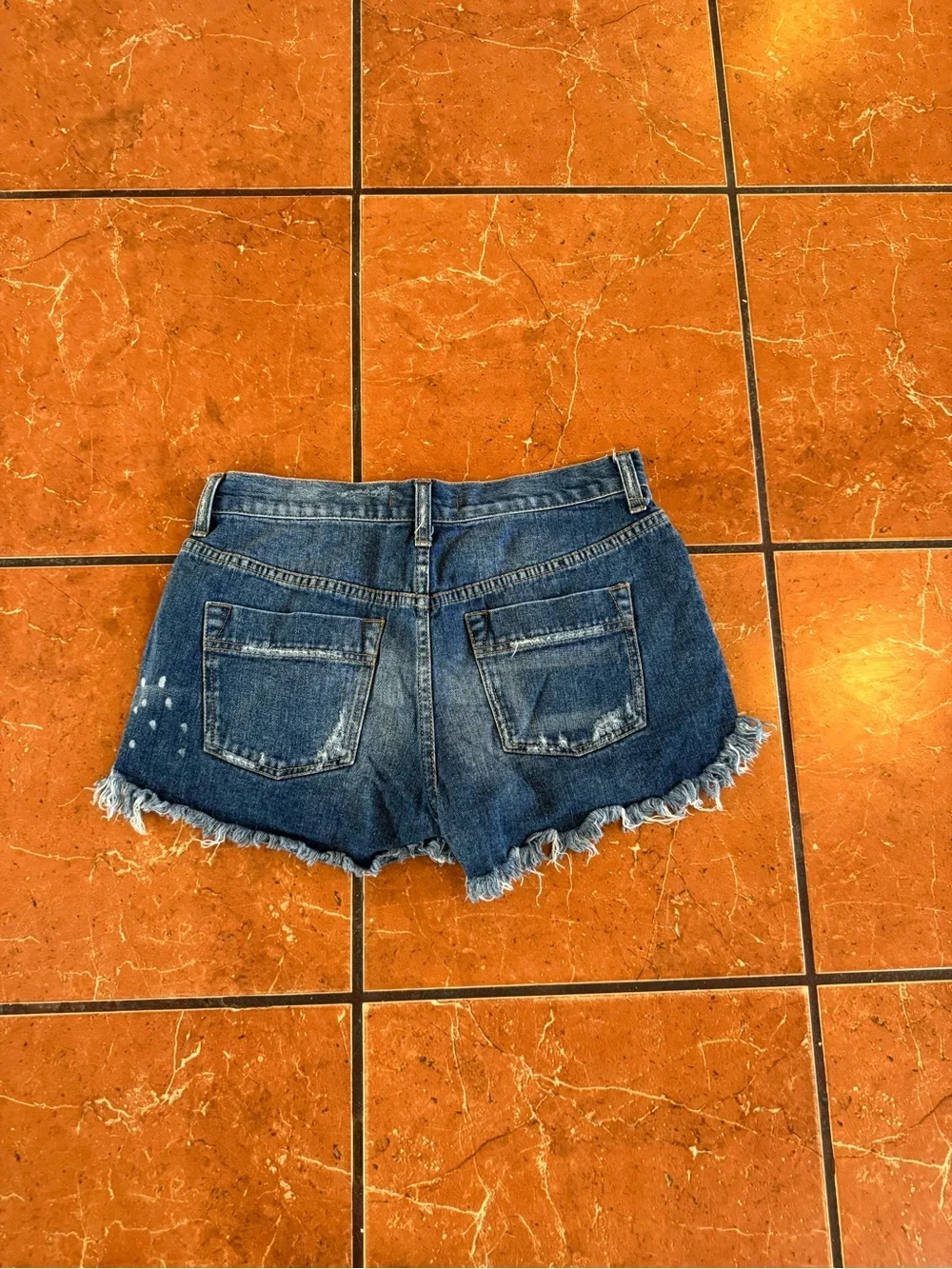 Free People Embroidered Frayed Denim Shorts Size 26 Boho Festival